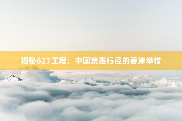 揭秘627工程：中国禁毒行径的要津举措