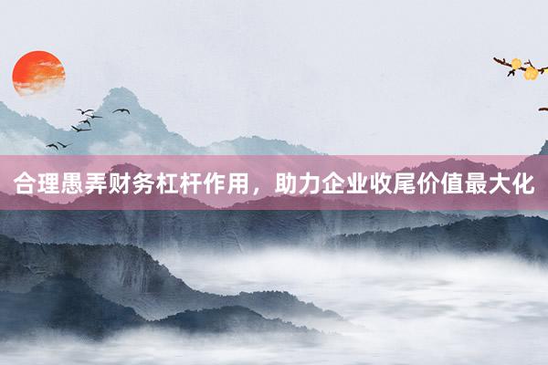 合理愚弄财务杠杆作用，助力企业收尾价值最大化
