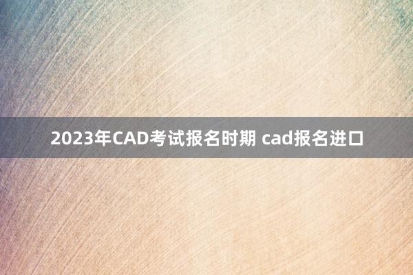 2023年CAD考试报名时期 cad报名进口