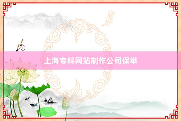 上海专科网站制作公司保举