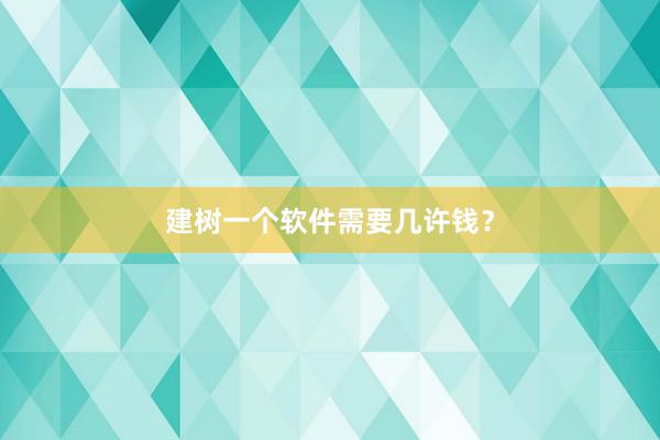 建树一个软件需要几许钱？