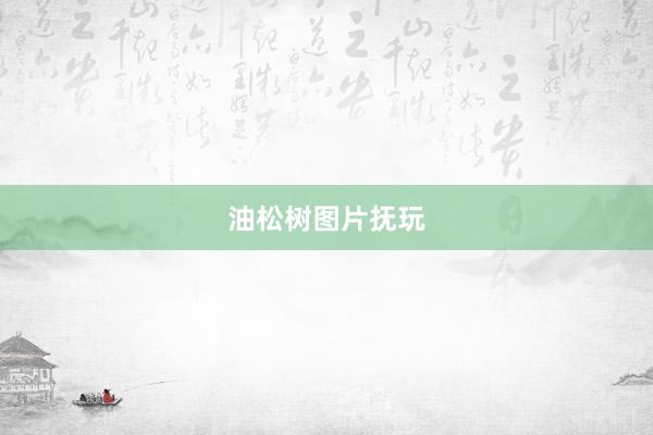 油松树图片抚玩
