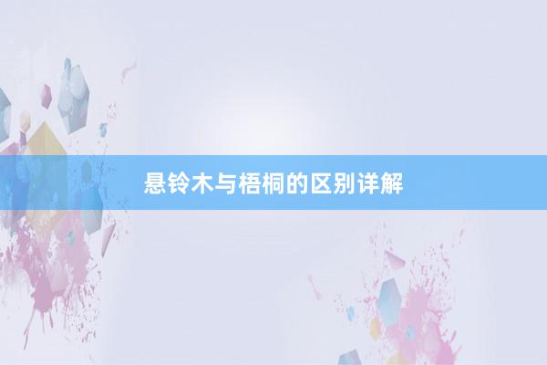 悬铃木与梧桐的区别详解